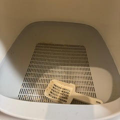 成猫用　トイレ　ペット用トイレの画像