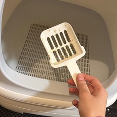 成猫用　トイレ　ペット用トイレの画像