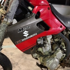 dトラッカー  250sb 外装の画像