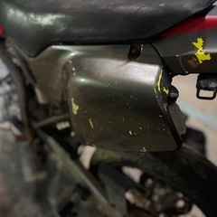 dトラッカー  250sb 外装の画像