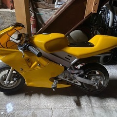 実働ポケバイの画像