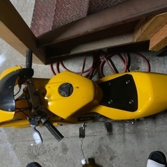 実働ポケバイの画像