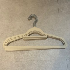 ハンガー10本セットの画像