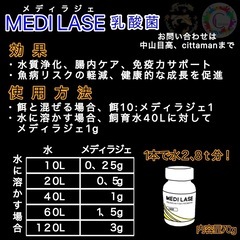 めだか飼育　MEDI LASE（メディラジェ）乳酸菌の画像