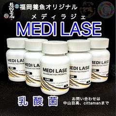 めだか飼育　MEDI LASE（メディラジェ）乳酸菌