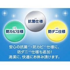 新品！トゥルースリーパーの画像