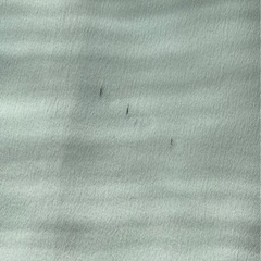 ニトリ 防炎 ドレープカーテン 2枚セット クリップ付きの画像