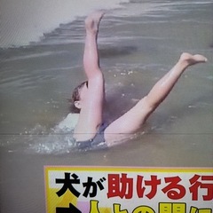 　【SONY】BRAVIA 液晶デジタルテレビ　32インチ　KDL-32EX720の画像