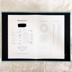 ネックレス　Tiffany バイザヤード 0.23ct.の画像