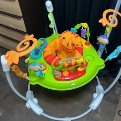 フィッシャープライス レインフォレスト・ジャンパルーの画像