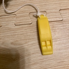 REEF TOURER ライフジャケット　子供用の画像