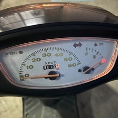 実働車ライブDIOの画像