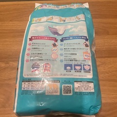 マナーウェア　猫用の画像