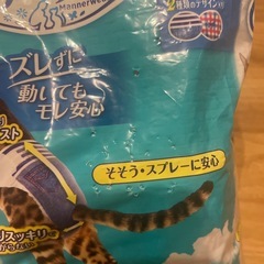 マナーウェア　猫用の画像