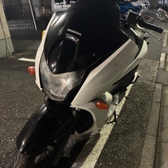 ホンダ　フェイズMF11 自賠責R8.8 実働の画像