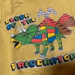 恐竜とトレーナーの画像