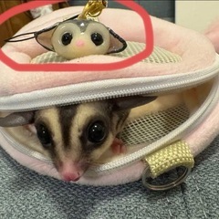 ハンドメイド　フクロモモンガ　キーホルダー　