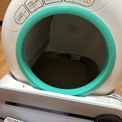 猫　全自動トイレの画像