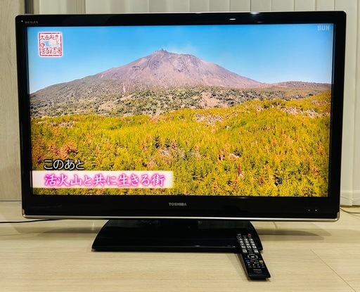 東芝 TOSHIBA 液晶カラーテレビ REGZA　42ZV500