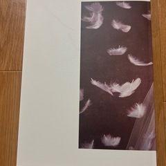 ウェディングドレス冊子の画像