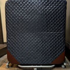 折りたたみ式パイプベッドの画像