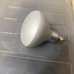 レフランプとランプホルダーの画像