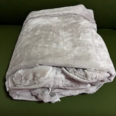 （確定済みです）ニトリ、ソファパッド、ソファカバーの画像