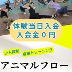 自重トレーニング【アニマルフロー】