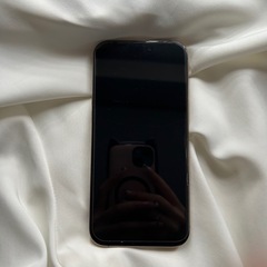 iPhone 16promax 256GB　の画像