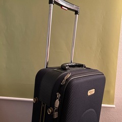 (取引先決定
)キャリーバックの画像