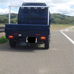 スーパーキャリー 4WD ローダウンカスタムの画像