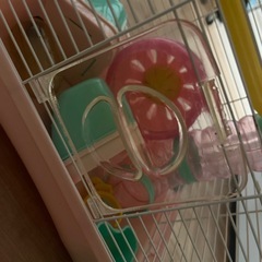 ハムスターケージの画像