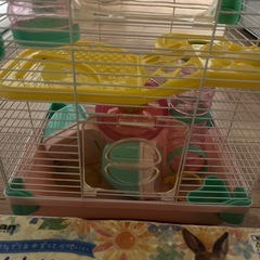ハムスターケージの画像