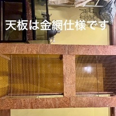 爬虫類用木製ケージの画像