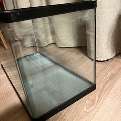 60cm 水槽　曲げガラス 訳ありの画像