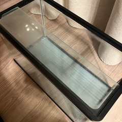 60cm 水槽　曲げガラス 訳ありの画像