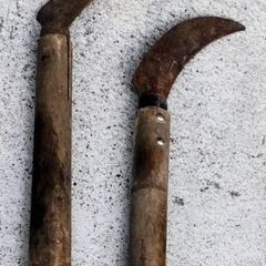 🍓  家庭菜園１５品／1個あたり１９０円／今すぐにでもDIY始められます園芸ツール③ 😊 の画像