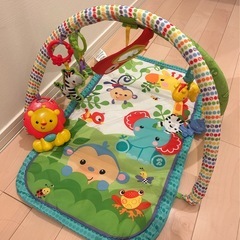 【ほぼ未使用】フィッシャープライスレインフォレストジムの画像