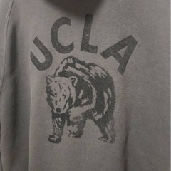 UCLA カレッジマスコットベアー 古着 グローバルワークの画像