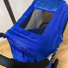 エアバギーの画像