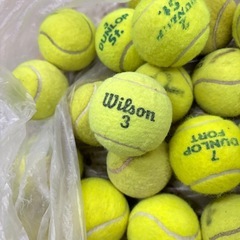 練習球, テニスボール, 運動, 45球ほど, スポーツ, の画像
