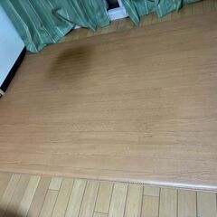 Panasonicホットカーペット　ホットシートの画像