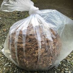 見えない場所に潜む蜂の巣駆除の専門会社【害虫駆除の生活レス…