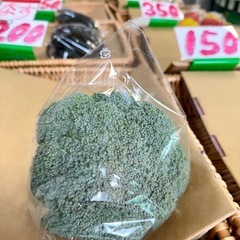 🍅若松産トマト‼️1袋400円‼️約500g‼️朝採り‼️ 安くて新鮮‼️ 野菜の画像