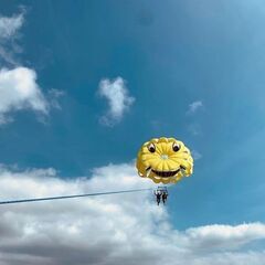 マリンスタッフ（無資格可）の画像