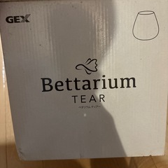 ベタ　水槽の画像