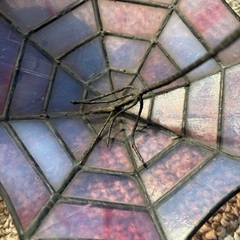 ステンドグラスランプ / レトロ照明 の画像