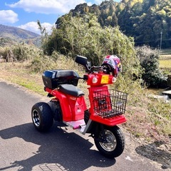 実働 ジャイロx 2スト の画像