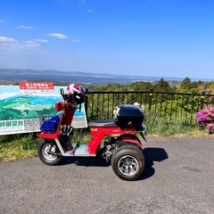 実働 ジャイロx 2スト の画像