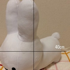 UFOキャッチャー景品
の画像